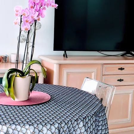 Seli 2 Pieces Classe 52 M2 Terrasse 20m2 Plages Piscine Juan Parking