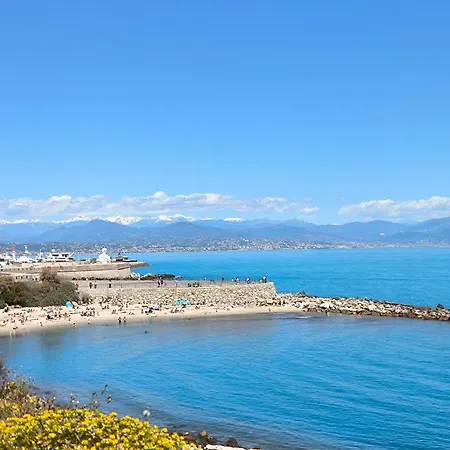 Apartment Oree Du Cap 2 Pieces Climatise Classe 52 M2 Terrasse 20m2 Plages Piscine Avec Parking Privatif