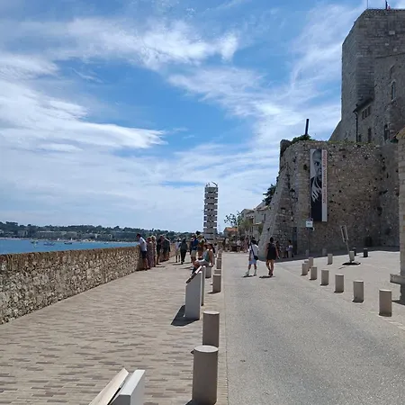 Oree Du Cap 2 Pieces Climatise Classe 52 M2 Terrasse 20m2 Plages Piscine Avec Parking Privatif Daire *